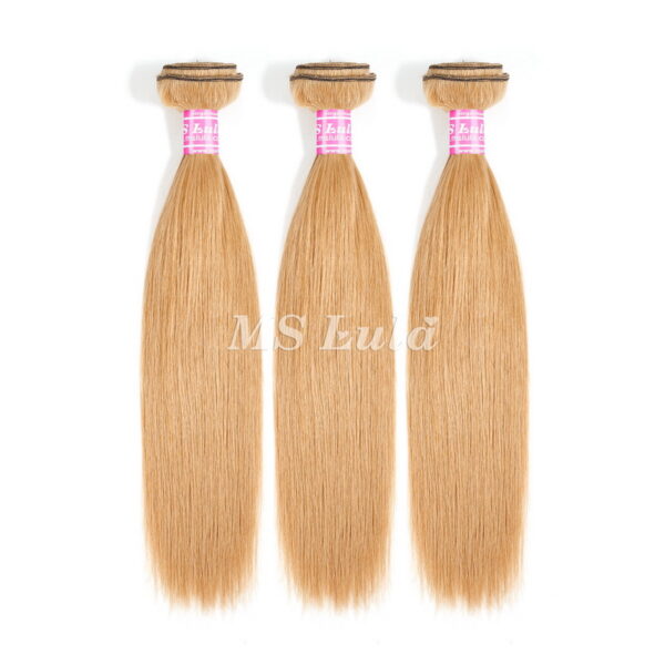 #8/#27/99J Colored Straight Brazilian Virgin Human Hair Bundles - Image 3